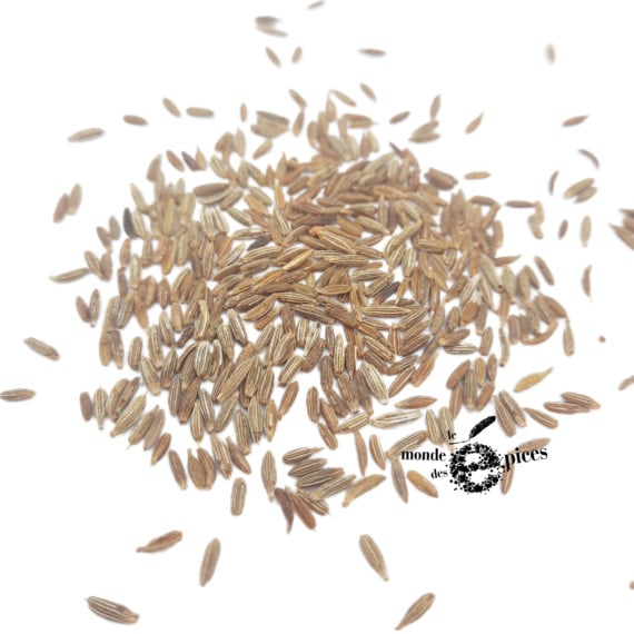 Orientalischer Kreuzkümmel (Kamoun)