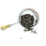 Thé noir Darjeeling first flush