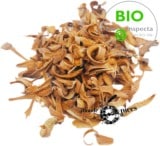 Fleurs d'oranger bio