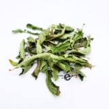 Verveine odorante