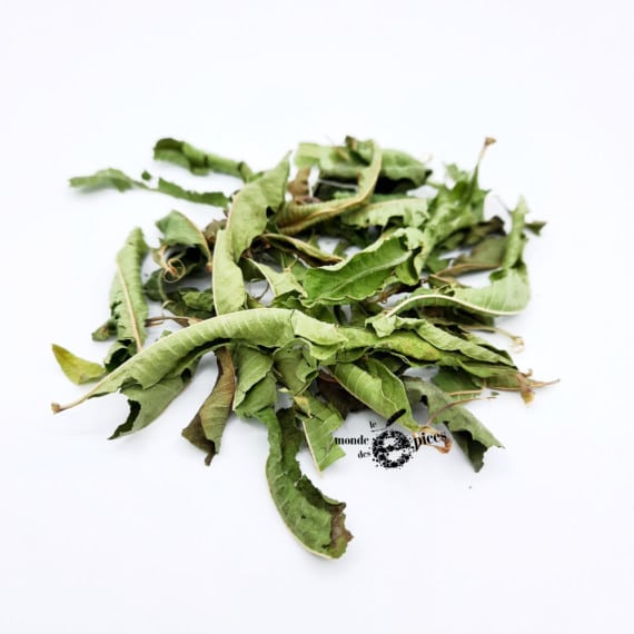 Verveine odorante