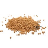 Moutarde blanche en grains