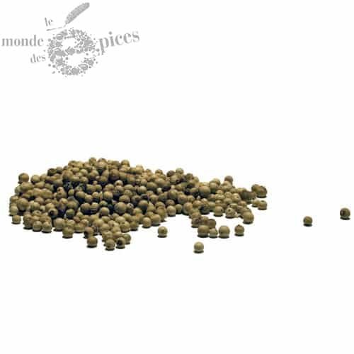 Poivre de Penja blanc IGP (Piper nigrum) 100g – STAFF SAS