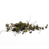 Fenugrec en feuilles