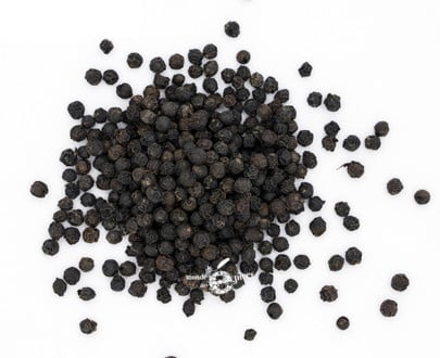 Bio Malabar schwarzer Pfeffer MG1