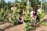 Atelier poivres et baies du 31 mai 2024