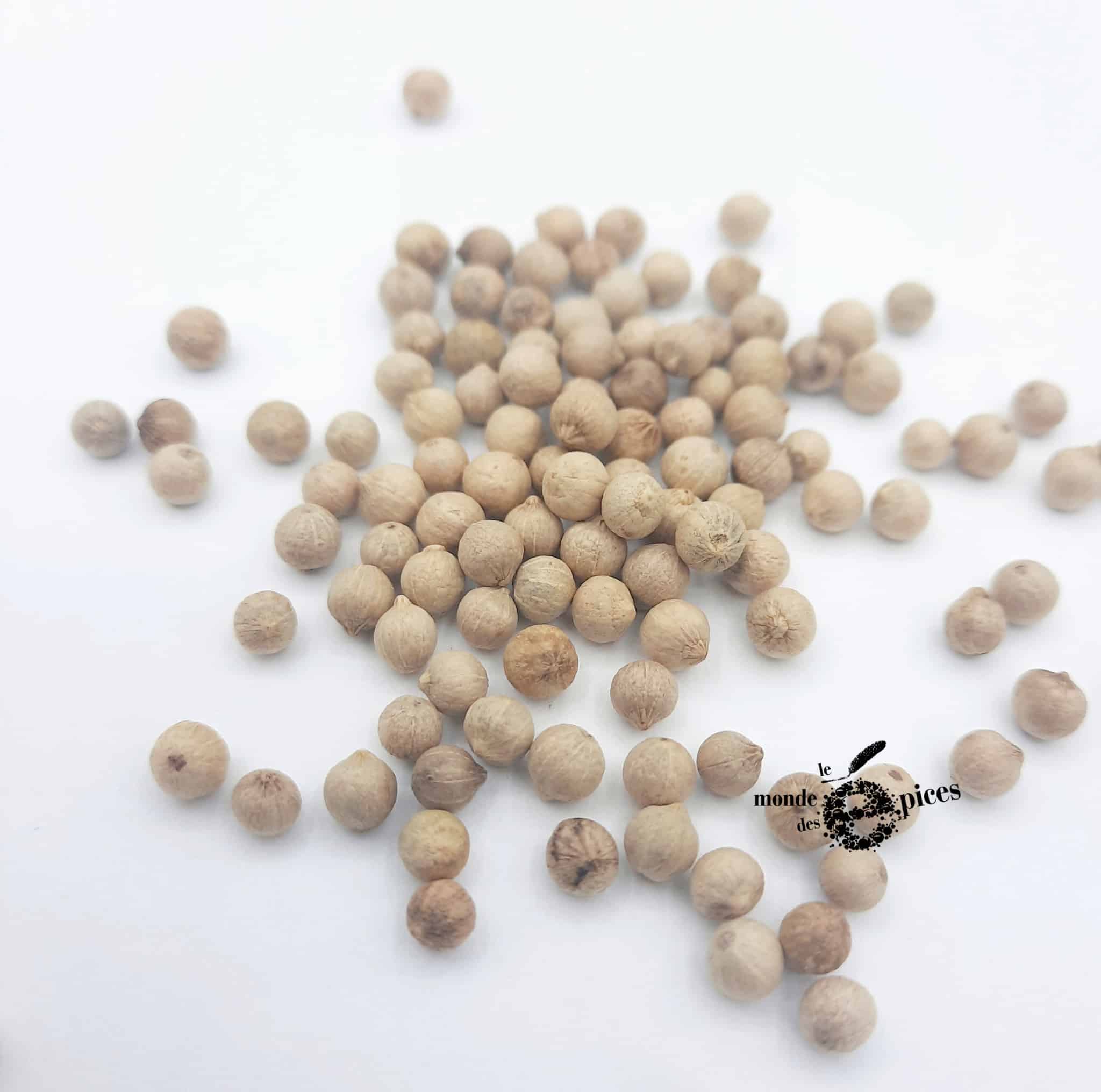 Poivre blanc grain - Épices C' Bio