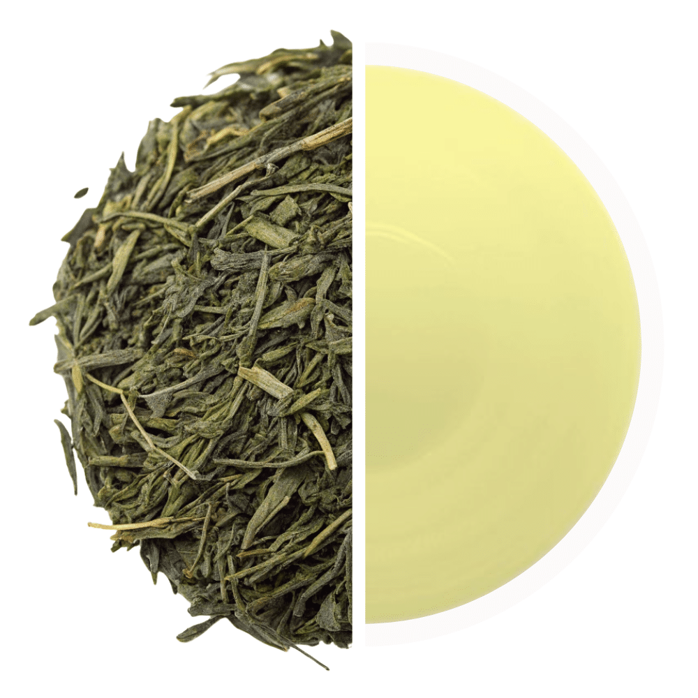 Du thé sencha en feuilles sechées et en infusion
