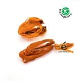 Macis fleur de muscade entière BIO